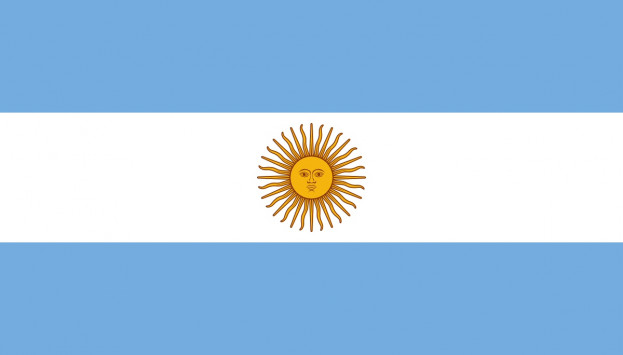 argentinian flag large